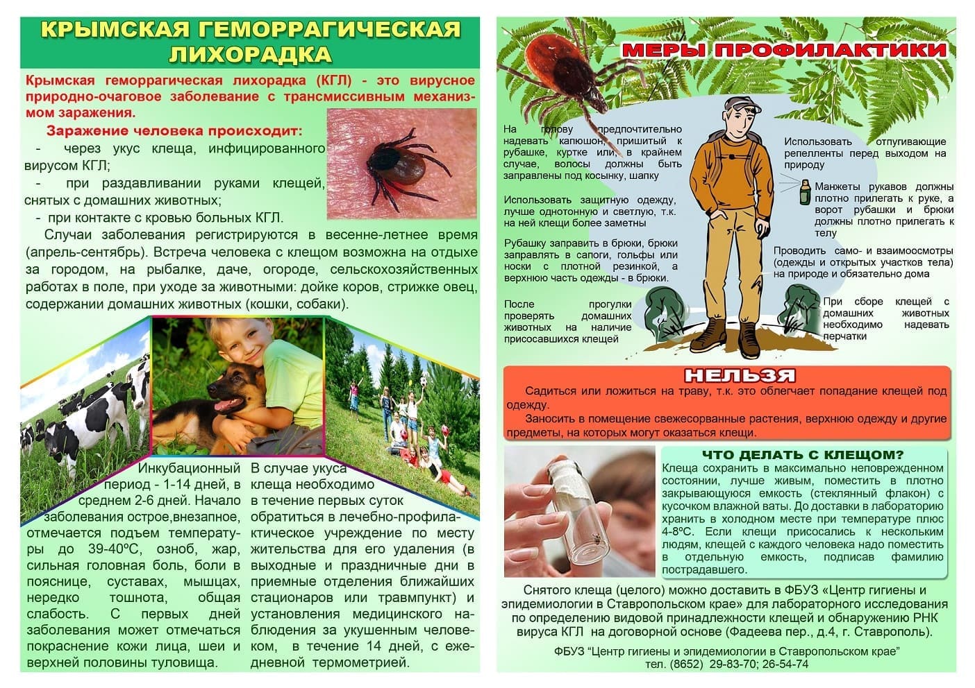 Крымская геморрагическая лихорадка